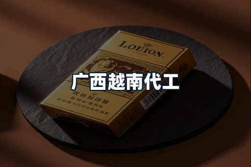 广西越南代工